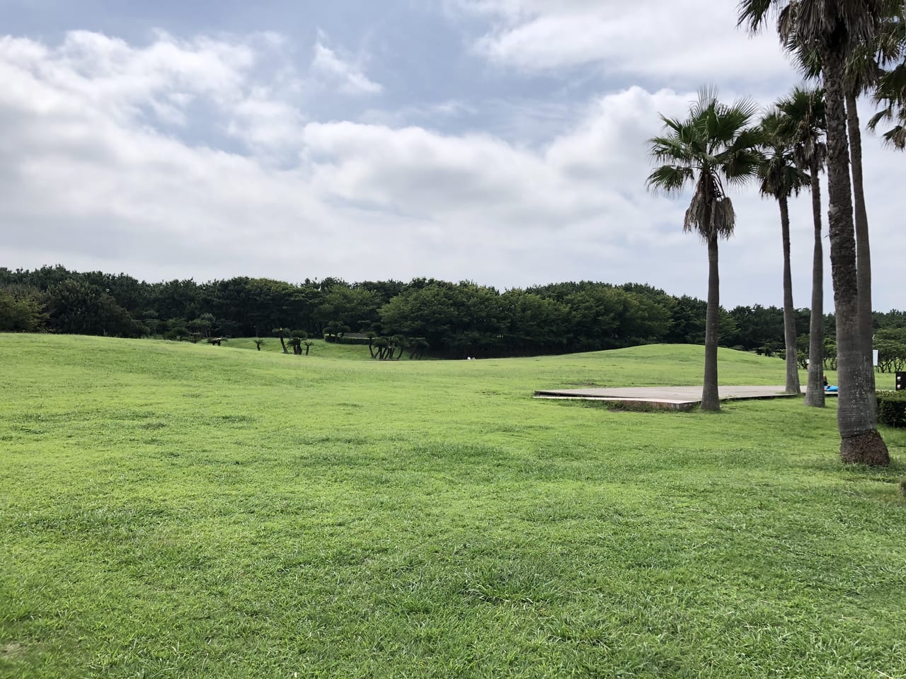 辻堂海浜公園の芝生広場