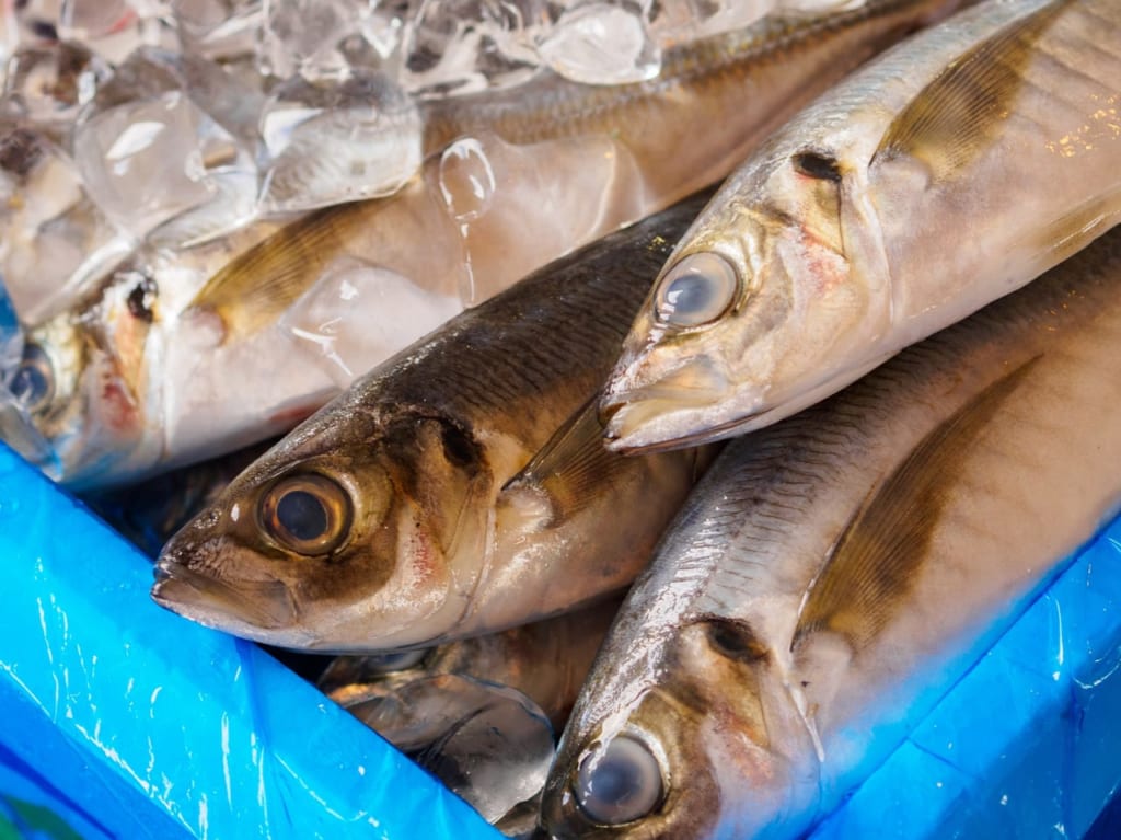 魚屋のイメージ