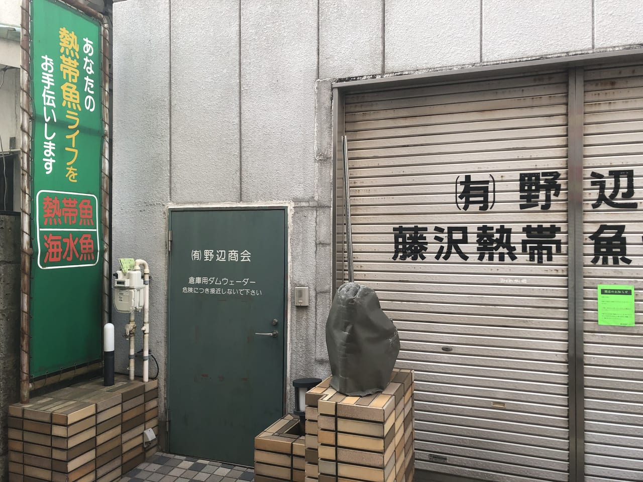 藤沢市 50年の歴史に幕 藤沢熱帯魚センター が閉店していました え あっちもこっちも 号外net 藤沢市
