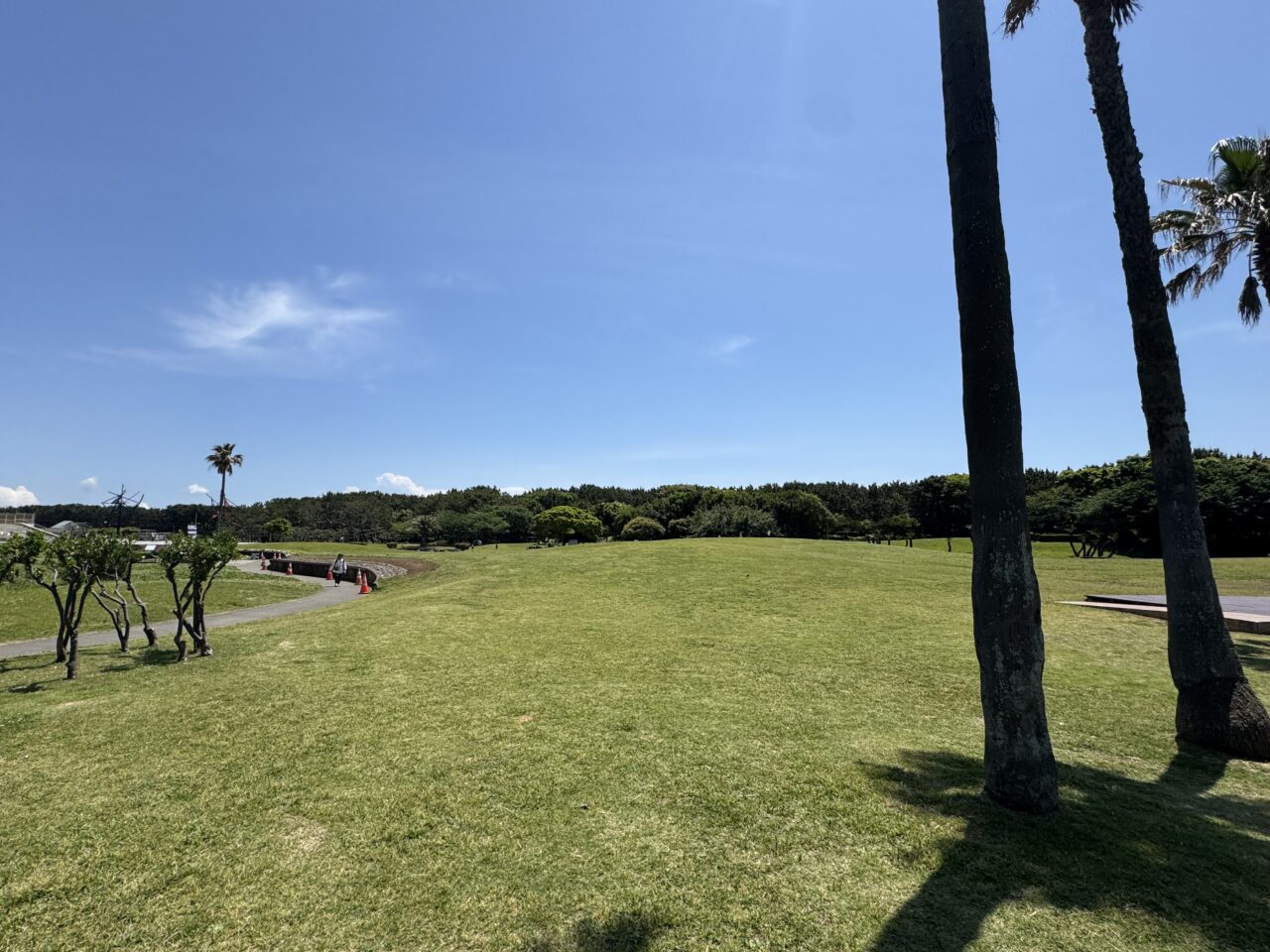 【藤沢市】レディオ湘南30周年記念イベント「ふじさわ まちなみ祭り」が6月6日に辻堂海浜公園で開催されます♪ 音楽・防災・フリマが集結!