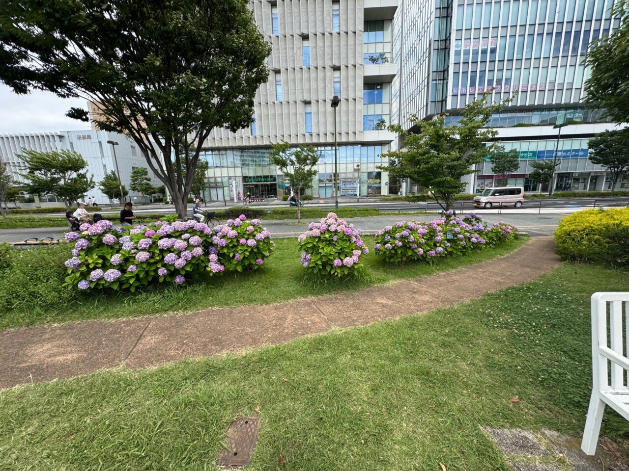辻堂朝ごはん朝市