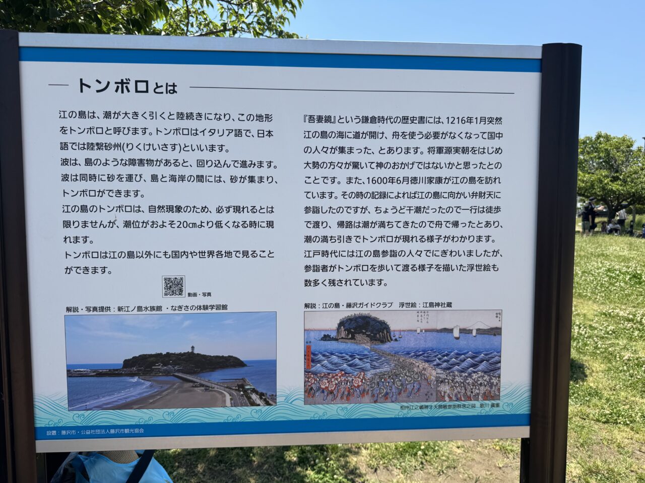 【藤沢市】6月14日~18日は5日間連続で江の島トンボロ出現予想日です! 上陸階段も開放予定! “海の道”を歩ける貴重なチャンスです♪