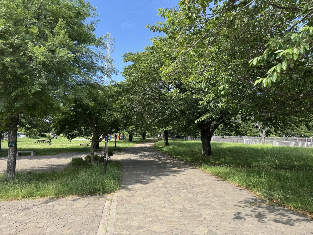 【藤沢市】大庭の引地川親水公園で「第18回 親水公園まつり」が6月6日に開催されます♪ 動物ふれあい・農産物販売・キッチンカーも!