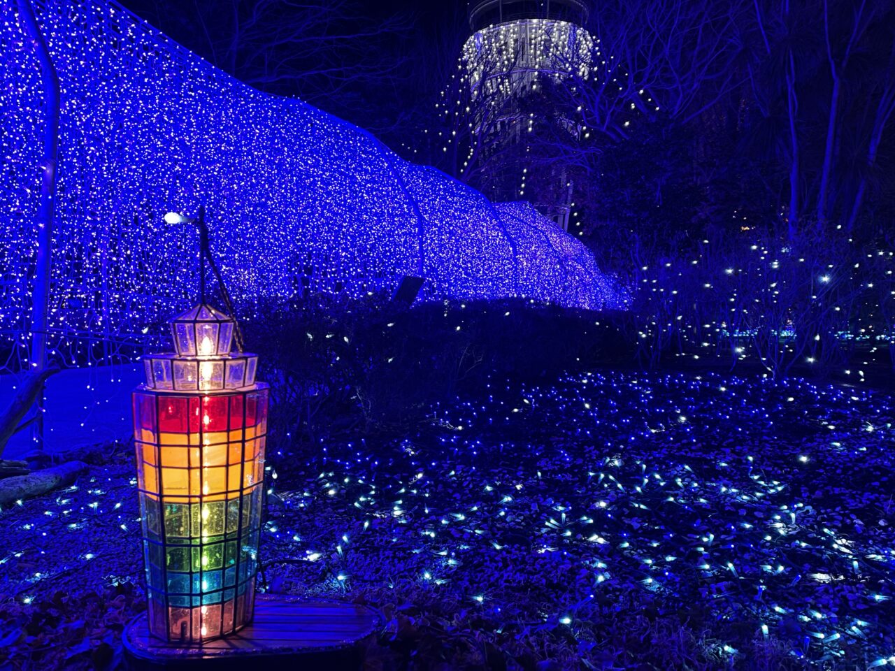 湘南の宝石2025-2026