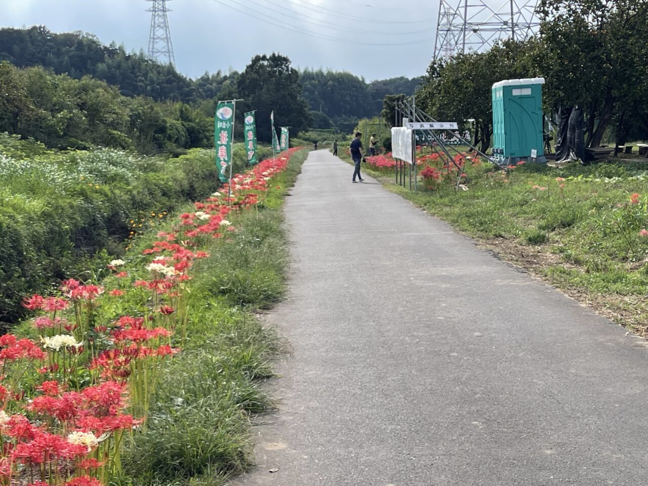 第18回 小出川彼岸花まつり