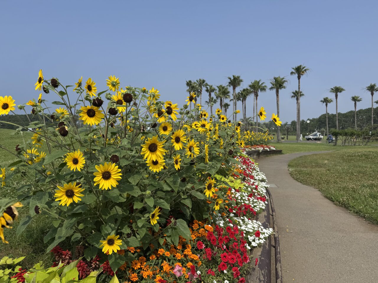 【藤沢市】6つのプールで夏を満喫♪ 「県立辻堂海浜公園 ジャンボプール」が7月11日にオープンします! 今年も夏の人気スポットが開幕!