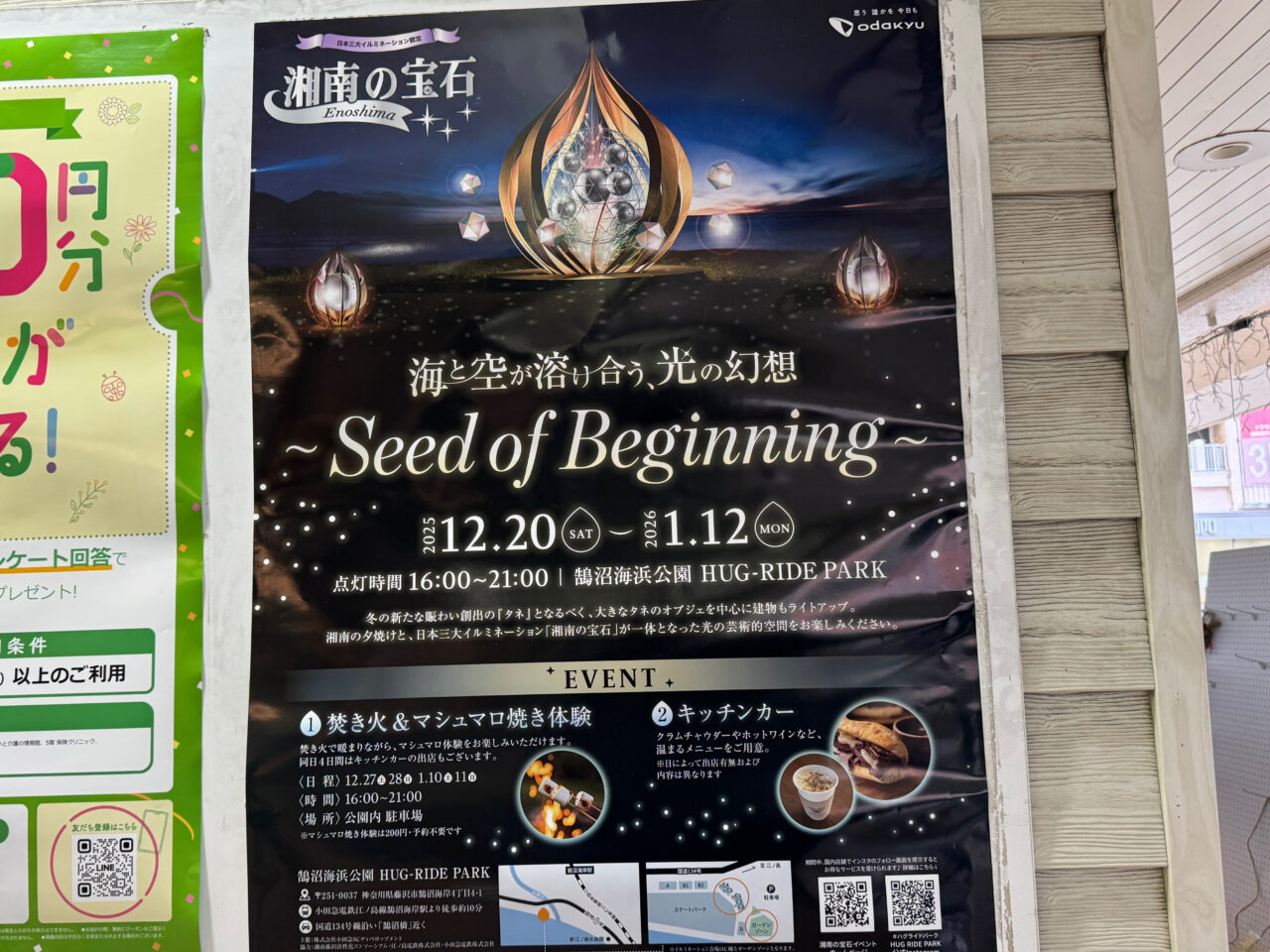 【藤沢市】日本三大イルミネーション「湘南の宝石2025-2026」新スポット『Seed of Beginning』が鵠沼海浜公園HUG-RIDE PARKで開催中です♪