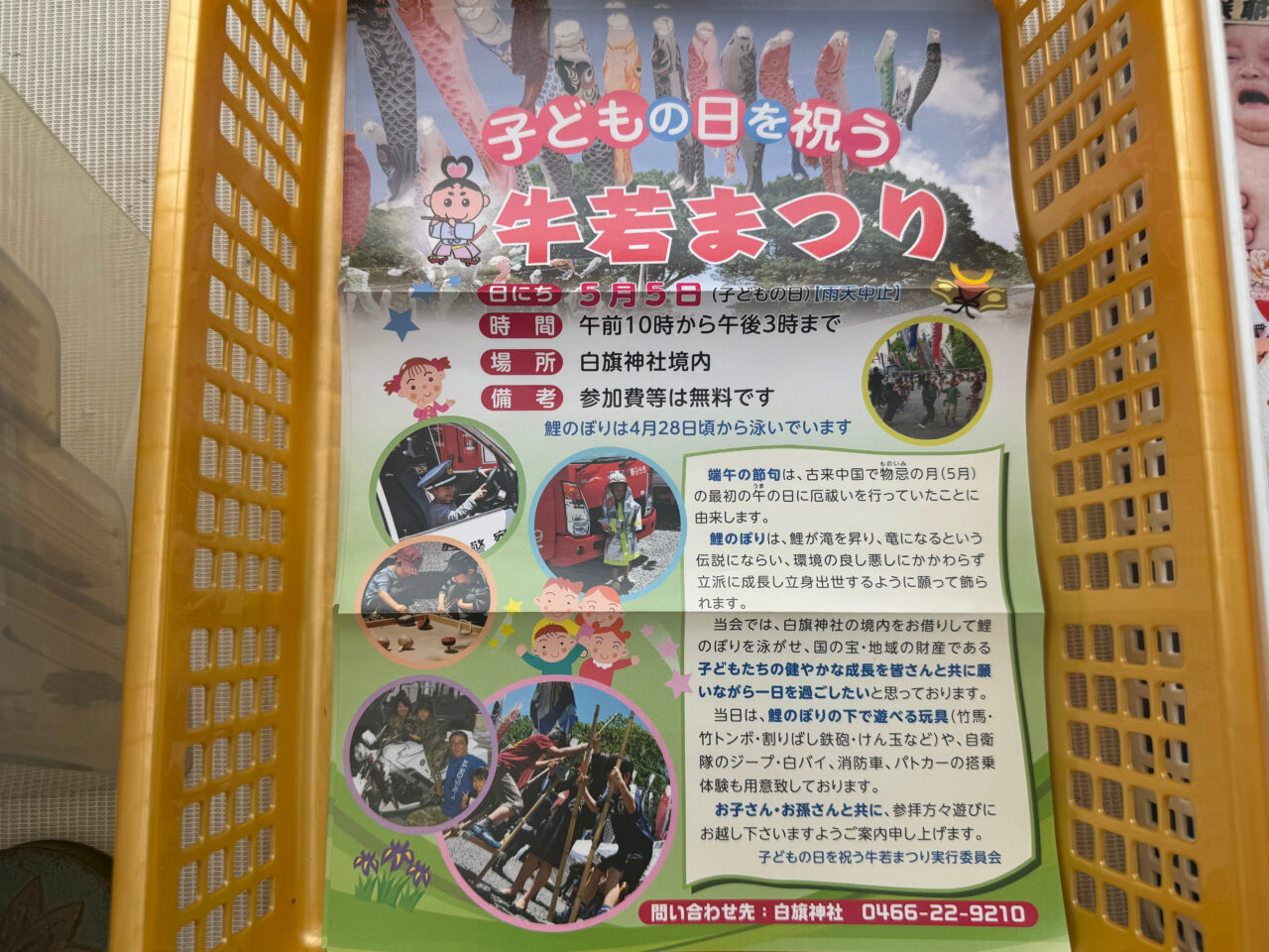 【藤沢市】GWの風物詩！ 白旗神社に約100匹のこいのぼりが登場！5月5日は子どもの日を祝う「牛若まつり」が開催されます♪