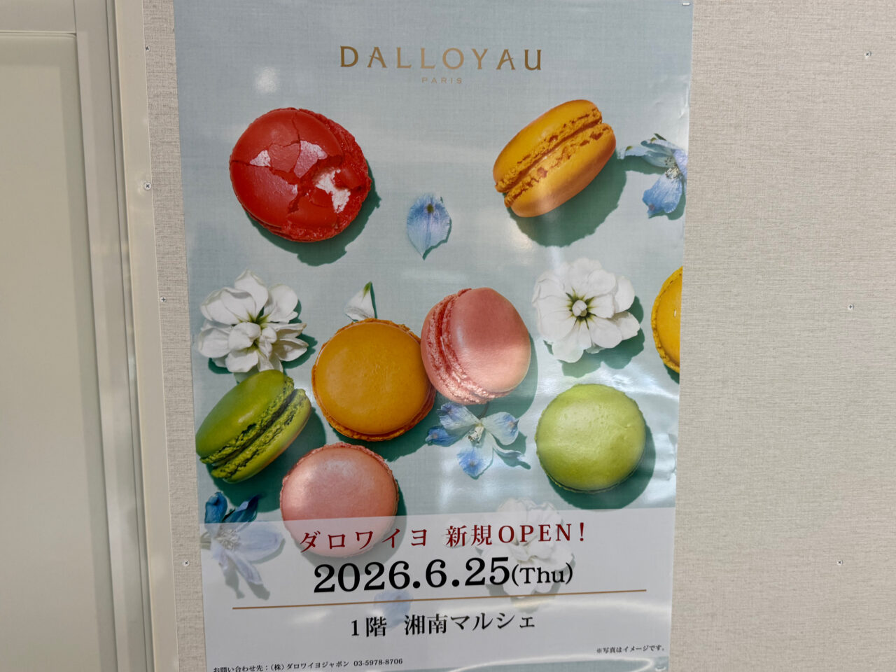 【藤沢市】テラスモール湘南に、マカロンやオペラで有名のフランスの老舗美食ブランド「DALLOYAU（ダロワイヨ）」が6月25日にオープンします♪ 限定でお楽しみ袋販売も！