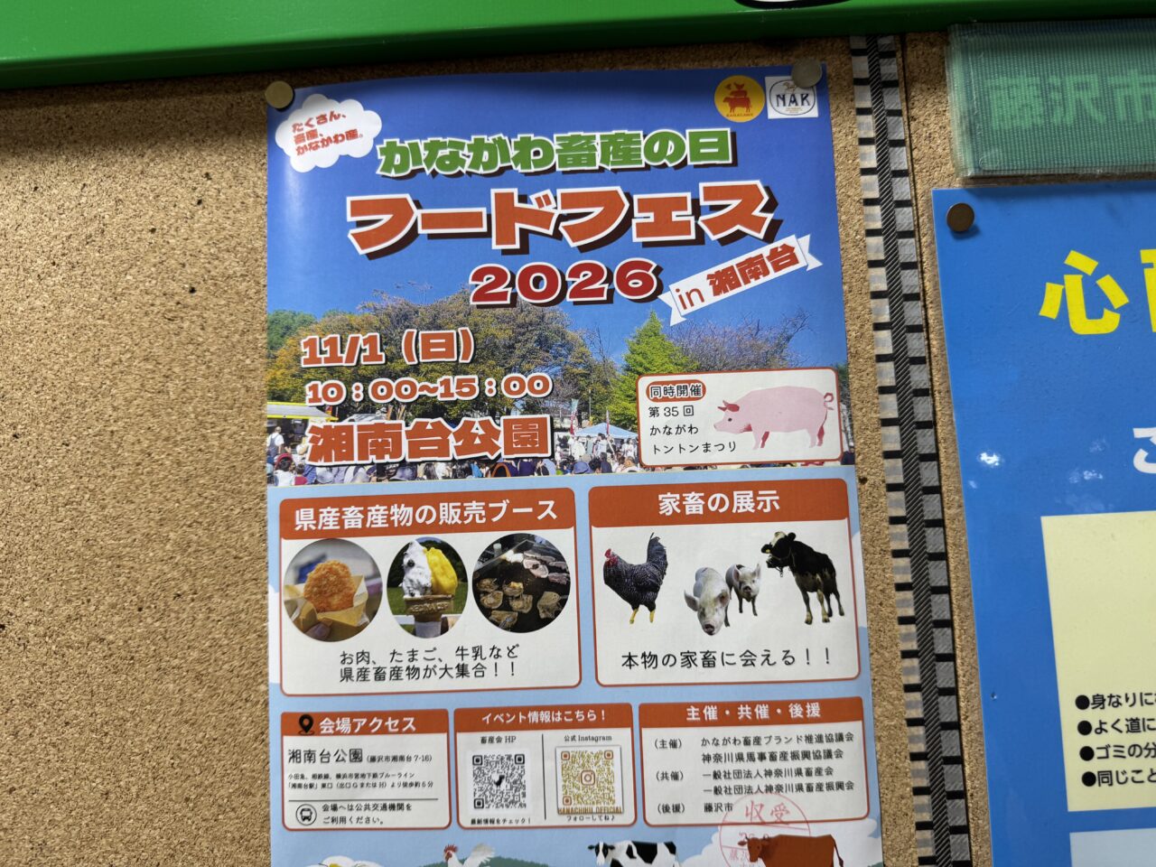 【藤沢市】湘南台公園で畜産イベント! 11月1日に「かながわ畜産の日フードフェス2026」が開催されます! 「第35回かながわトントンまつり」も同時開催♪