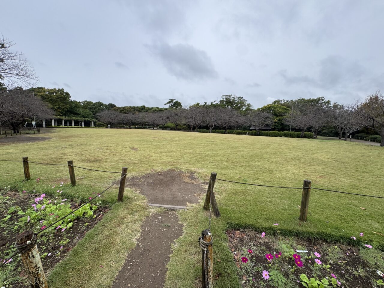 【藤沢市】長久保公園で10月31日に「秋の感謝祭」が開催されます! クラフト体験やグルメ、園芸市、地元野菜販売も♪