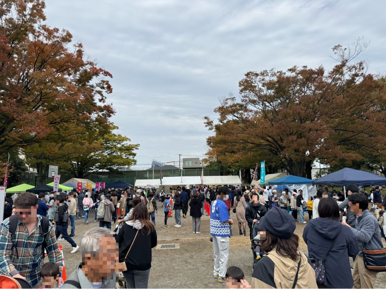 【藤沢市】湘南台公園で畜産イベント! 11月1日に「かながわ畜産の日フードフェス2026」が開催されます! 「第35回かながわトントンまつり」も同時開催♪