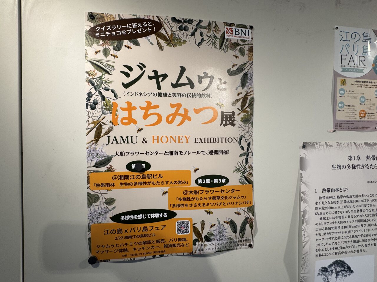 【藤沢市】五感でバリ文化が楽しめるイベント「江の島×バリ島 FAIR Part4 」が、湘南モノレール湘南江の島駅ビルで2月22日に開催されます♪