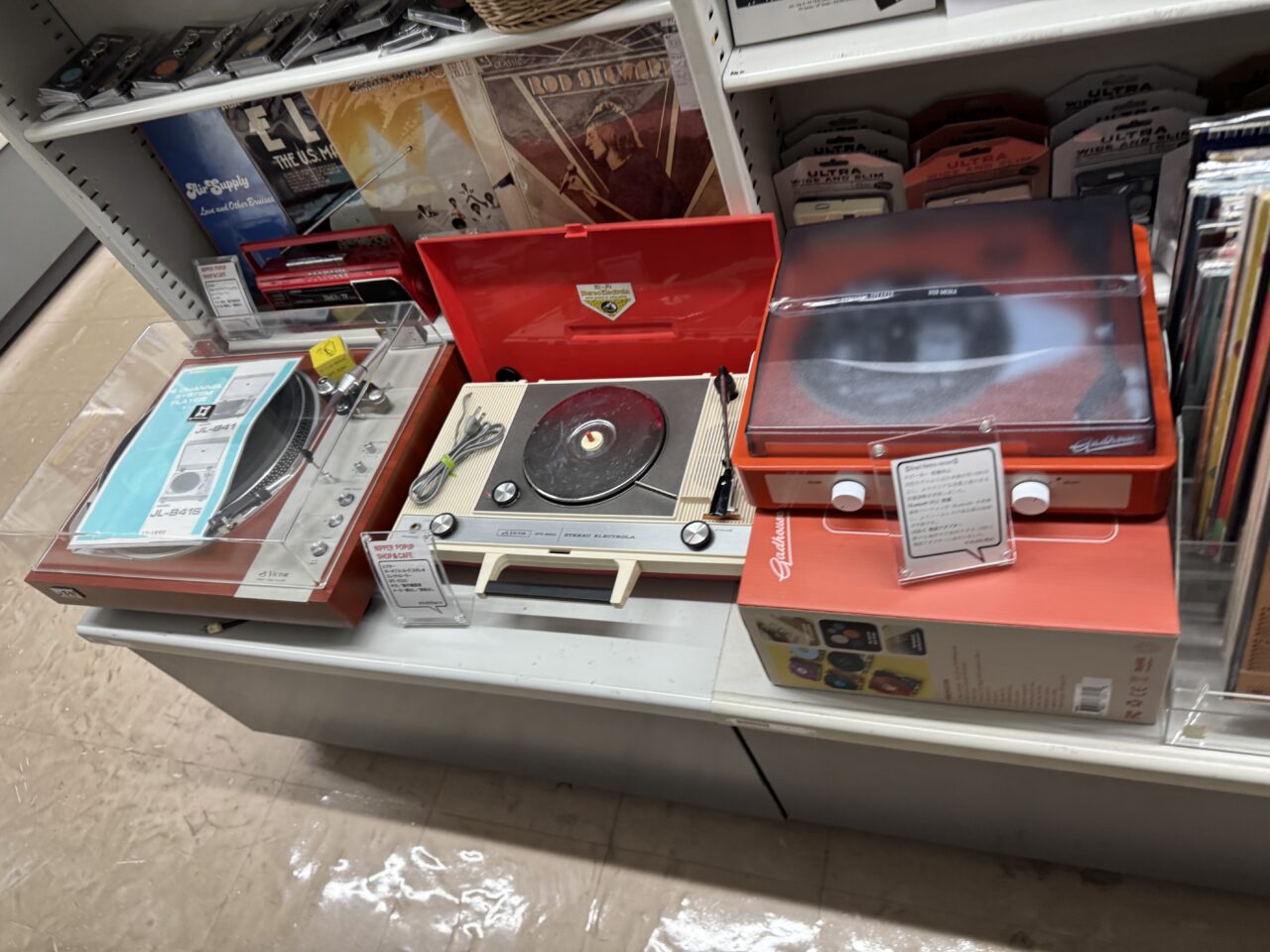 2027年末をもって営業を終了する予定の「有隣堂 藤沢店」で『小さな絶滅展』が11月1日から開催