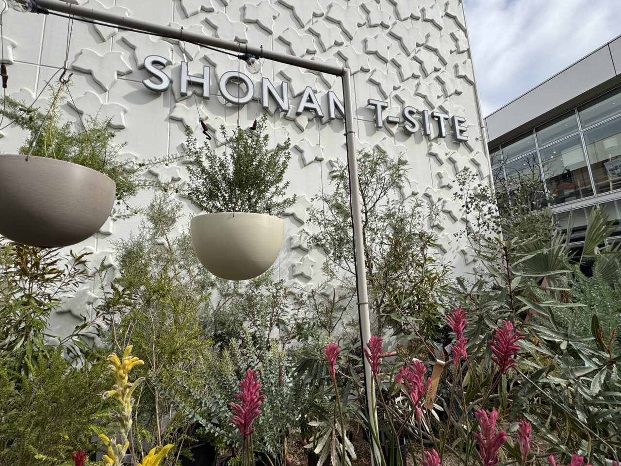 【藤沢市】2026年のお正月は「湘南T-SITE」 で。餅つき・獅子舞・駄菓子屋などのお正月イベントが1月2日、3日で開催されます♪