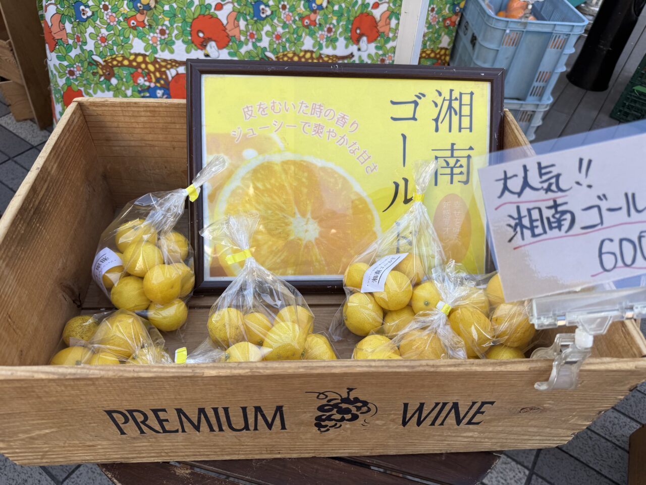 【藤沢市】駅前の広場に約50店舗が集結！ 藤沢駅北口サンパール広場で定期開催のマーケット「MARKET251」が4月18日・19日開催されます♪