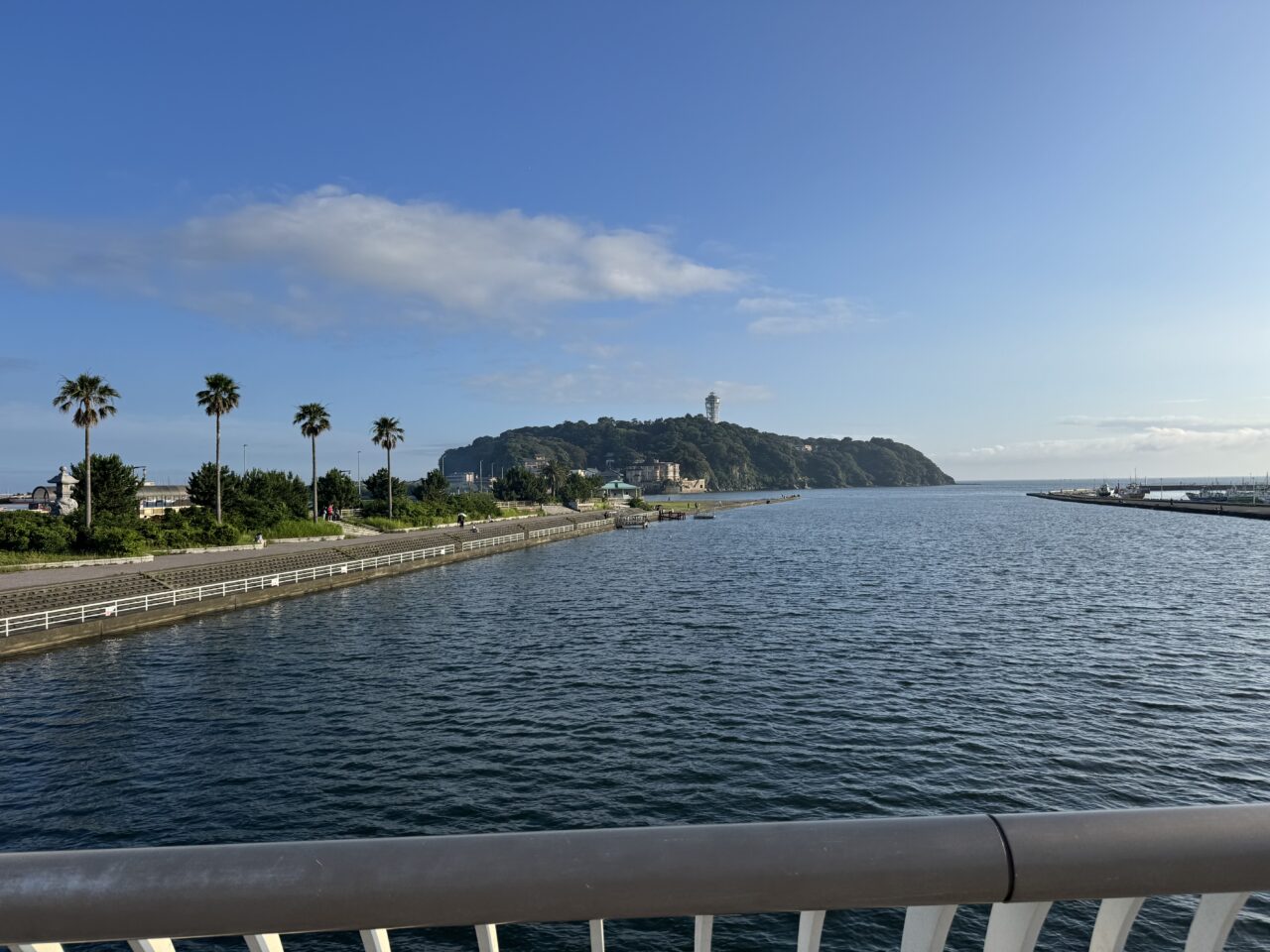 【藤沢市】夕暮れの海辺で盆踊りと発酵グルメを満喫! 「発酵盆祭2026」が江の島・湘南港北緑地広場で8月5日に開催されます♪ 子こどもアート縁日も!