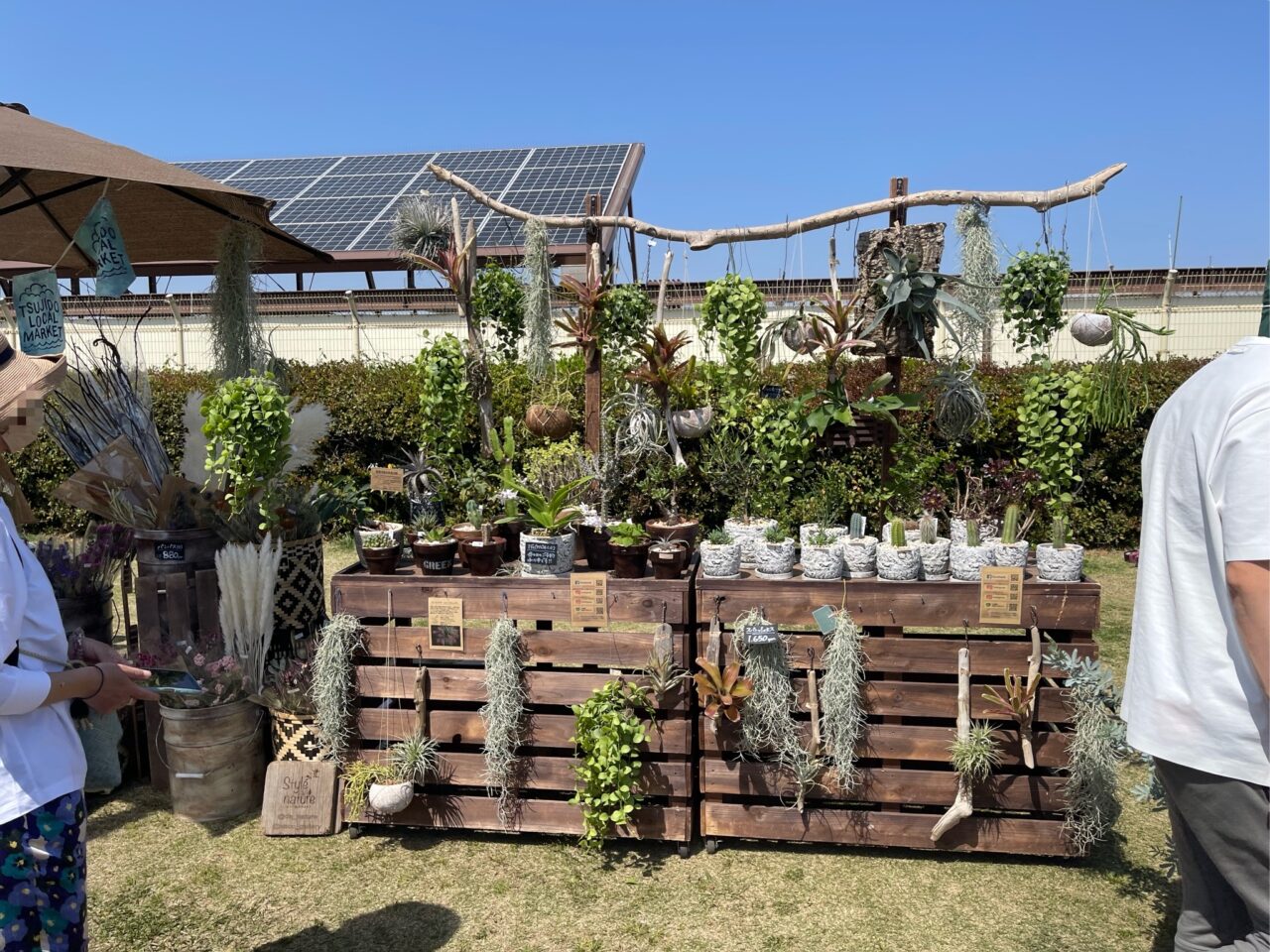 【藤沢市】今年初開催！ 「Tsujido Local Market」が3月8日に辻堂海浜公園で開催されます。辻堂フリマピクニックも同時開催です♪