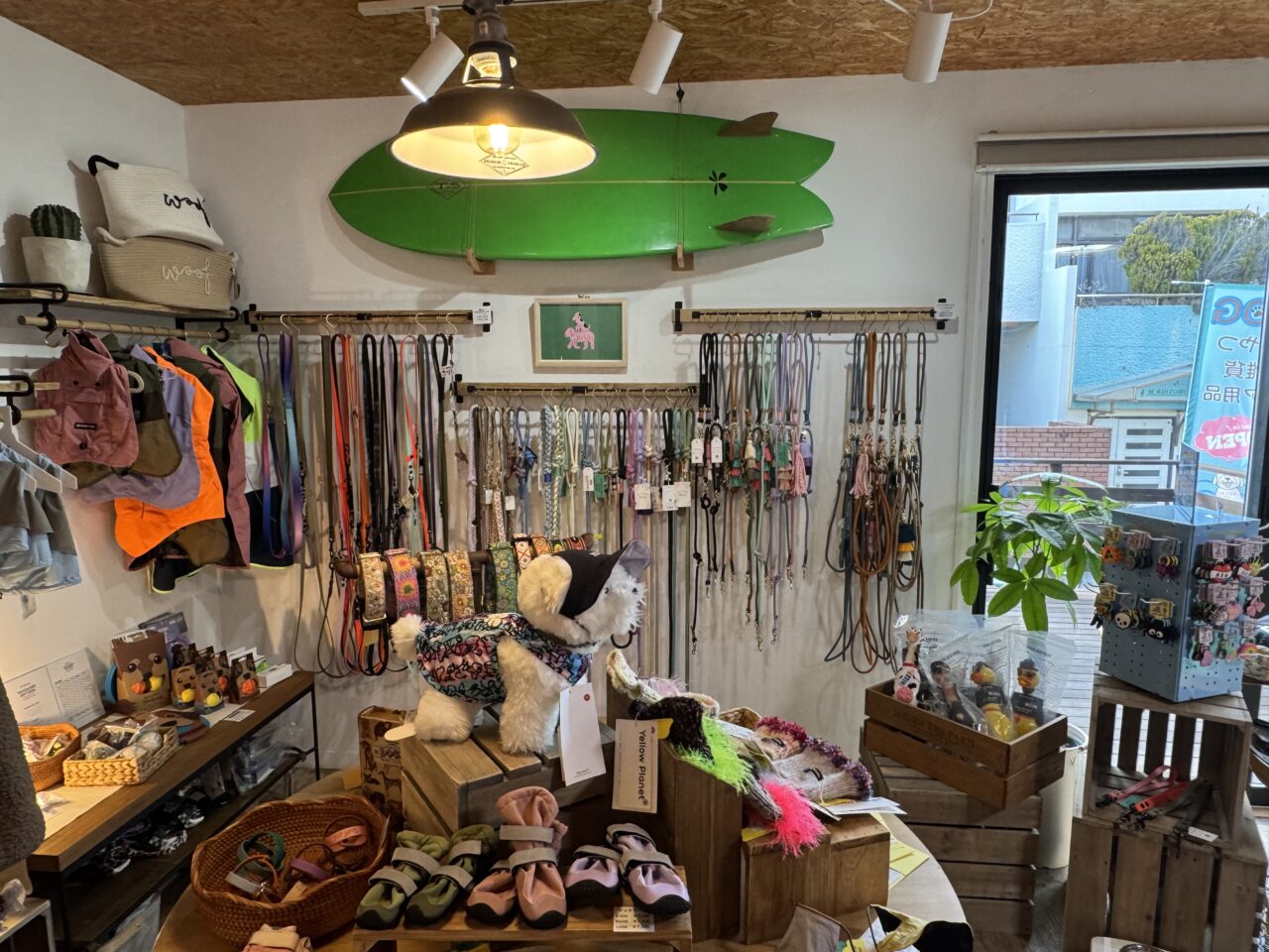【藤沢市】鵠沼海岸に話題のドッグセレクトショップ「SEA SIDE PAWS SHONAN」が2月7日にオープンしました！ 犬と楽しめる湘南ライフの新スポット♪