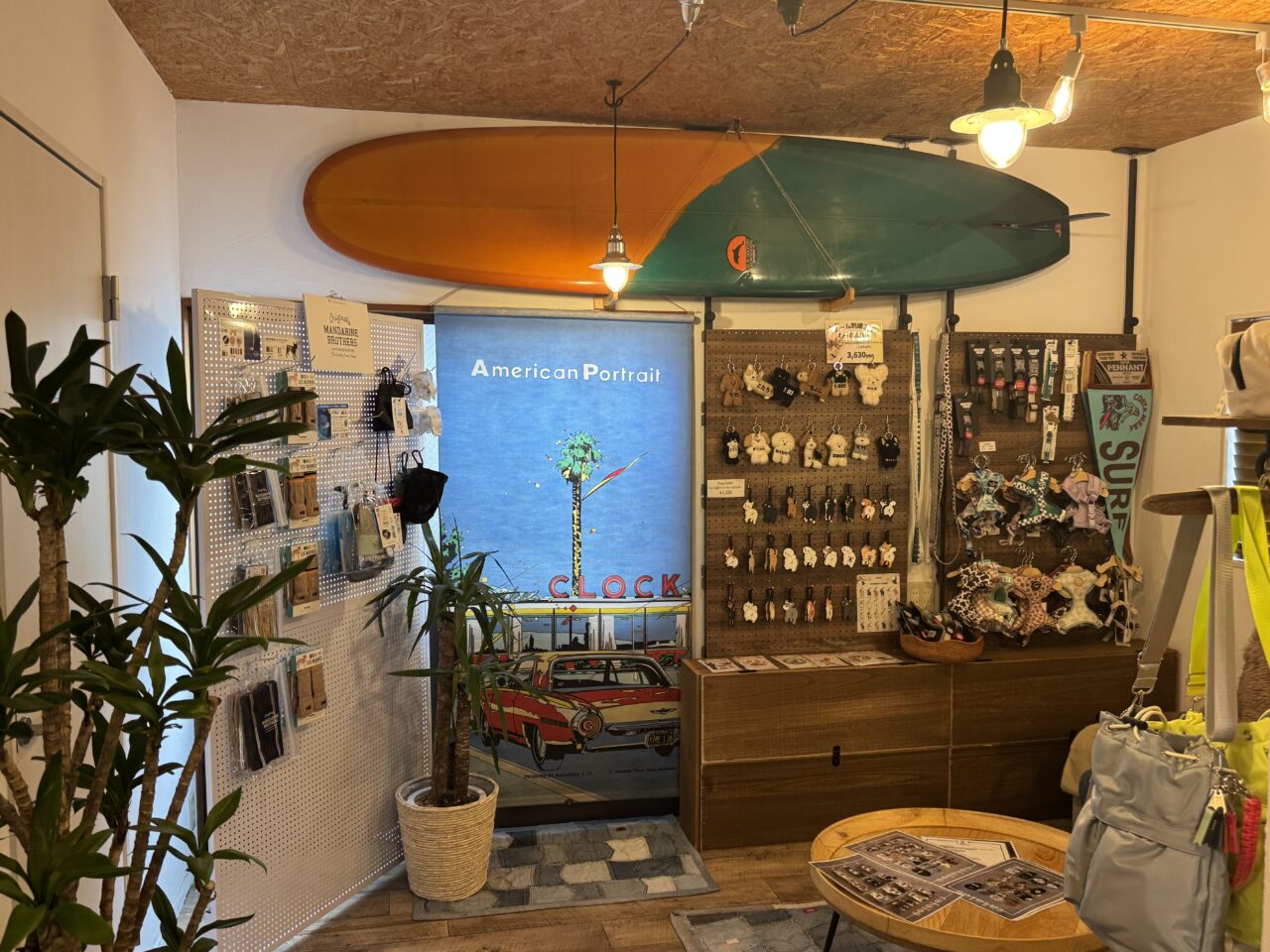 【藤沢市】鵠沼海岸に話題のドッグセレクトショップ「SEA SIDE PAWS SHONAN」が2月7日にオープンしました！ 犬と楽しめる湘南ライフの新スポット♪