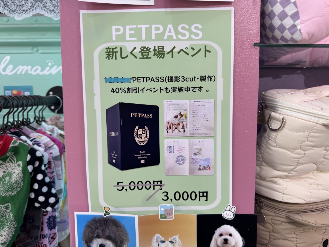 ペット専門写真館『ペトル』