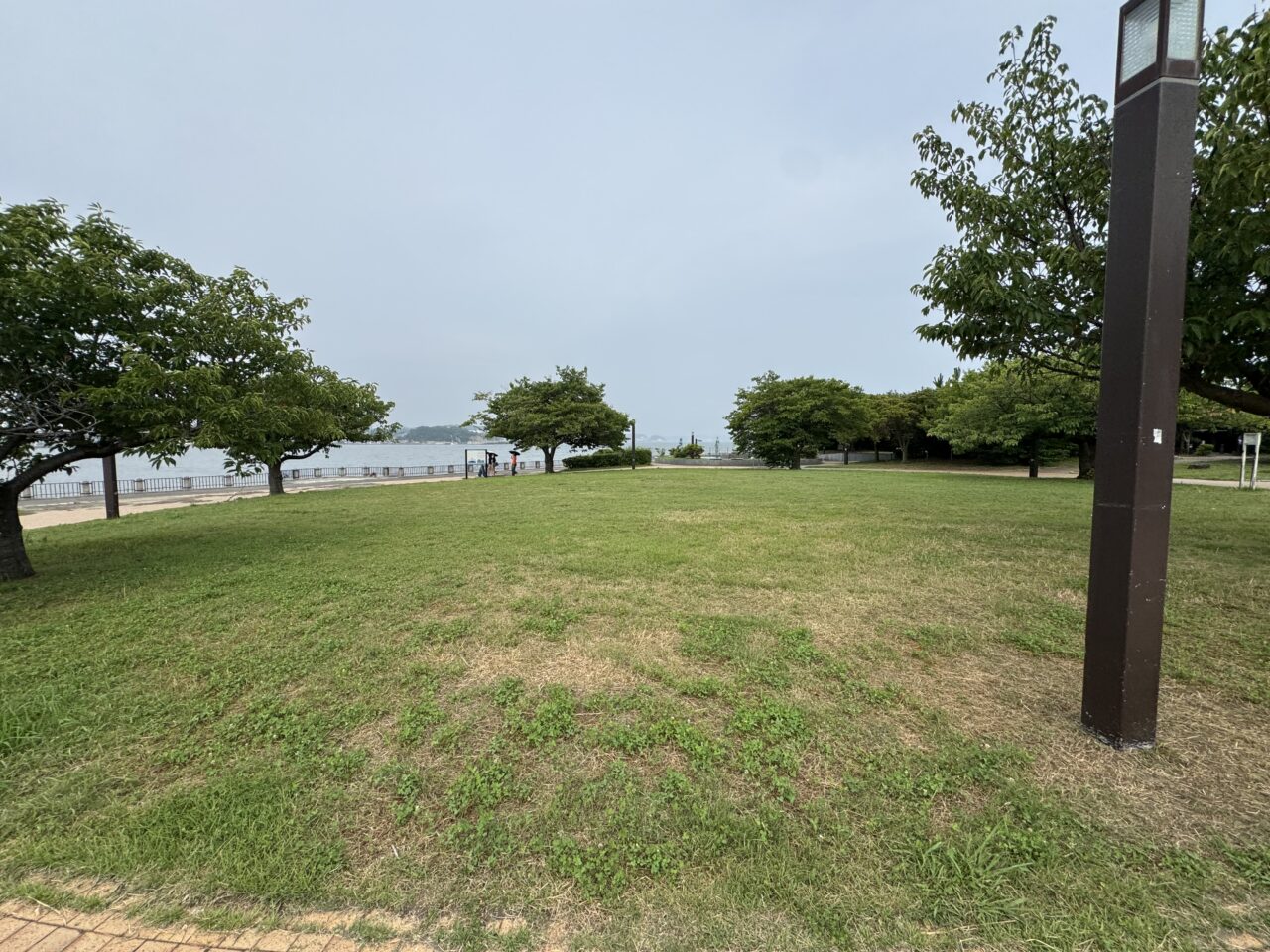 【藤沢市】夕暮れの海辺で盆踊りと発酵グルメを満喫! 「発酵盆祭2026」が江の島・湘南港北緑地広場で8月5日に開催されます♪ 子こどもアート縁日も!