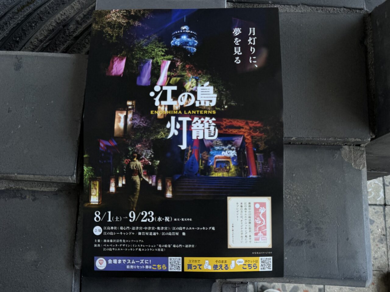 【藤沢市】江の島の夜が幻想的な光に包まれます。「江の島灯籠2026」が8月1日~9月23日まで江の島島内各所で開催されます♪ 土曜限定の浴衣レンタルや青春ブタ野郎コラボも!