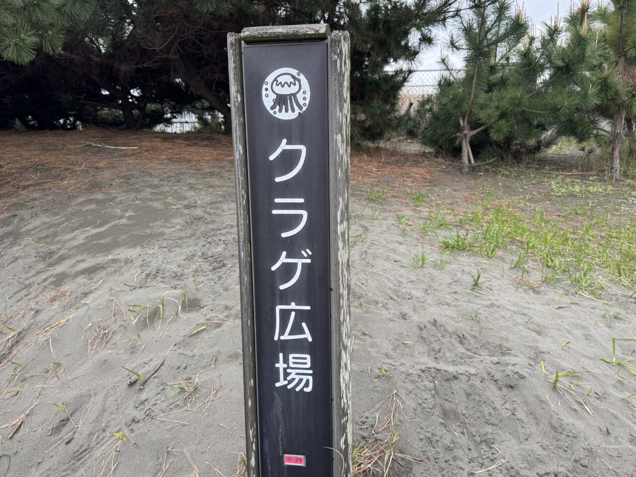 【藤沢市】朝採れ野菜が並ぶ人気マルシェ!「湘南チャーカルプロジェクト 海と農の地産マルシェ Vol.3」が6月13日・14日に新江ノ島水族館横のクラゲ広場で開催されます♪