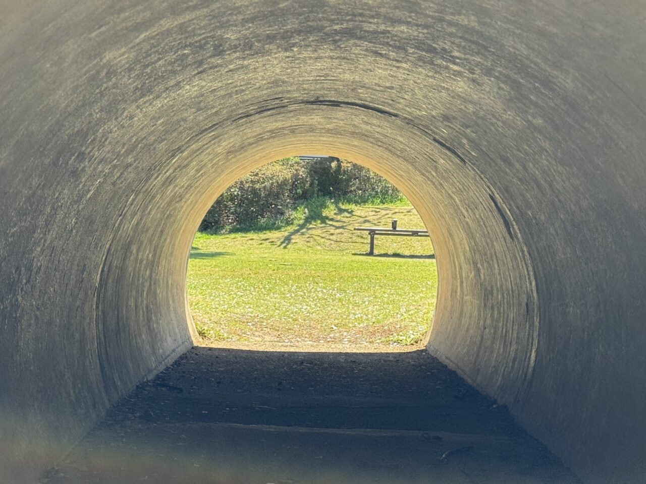 【藤沢市】「孤独のグルメ Season11」第1話の舞台に! 大庭の「おうちごはん はるね」で絶品さばみりんと豚汁が話題沸騰中です♪