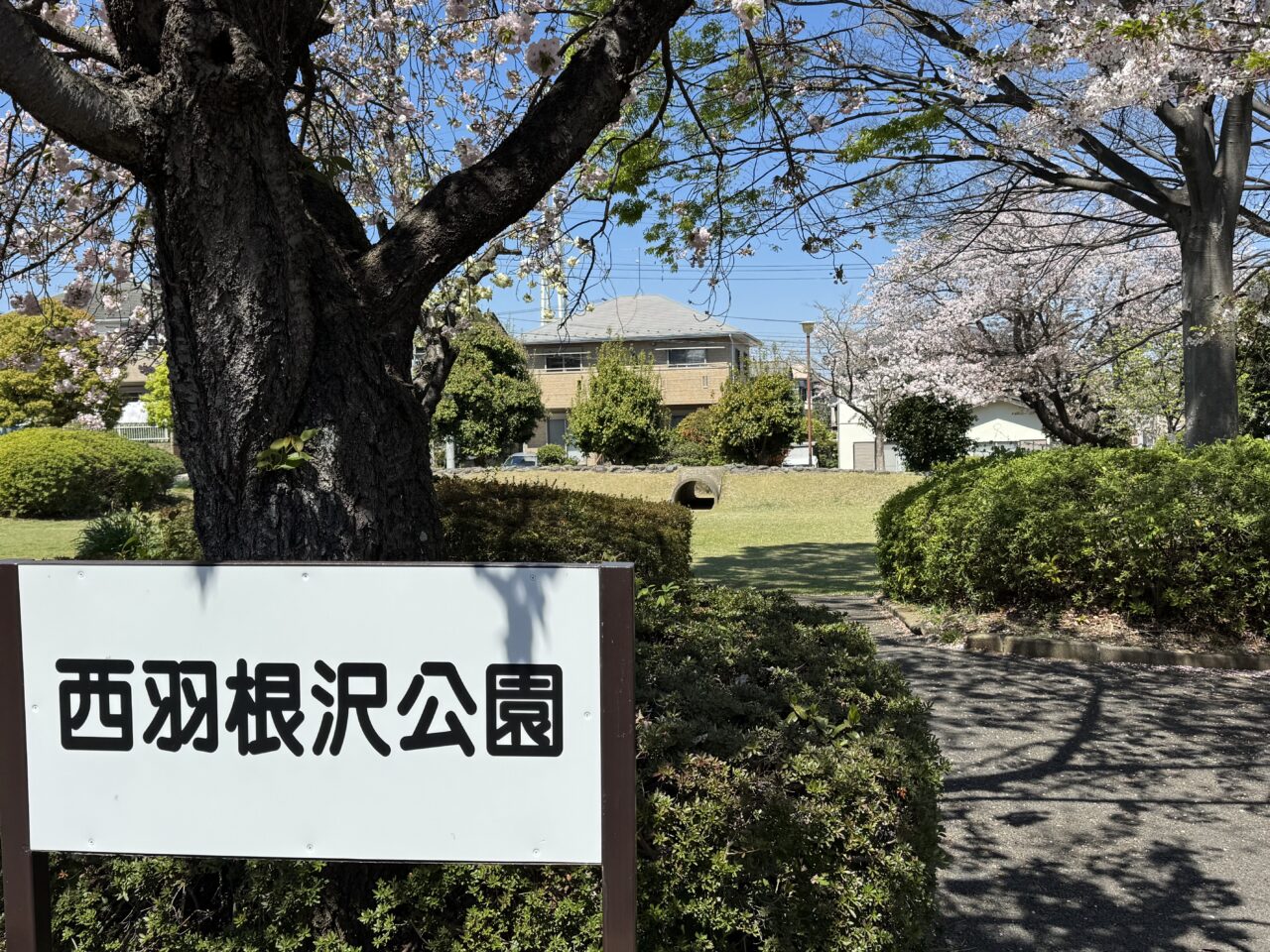 【藤沢市】「孤独のグルメ Season11」第1話の舞台に! 大庭の「おうちごはん はるね」で絶品さばみりんと豚汁が話題沸騰中です♪