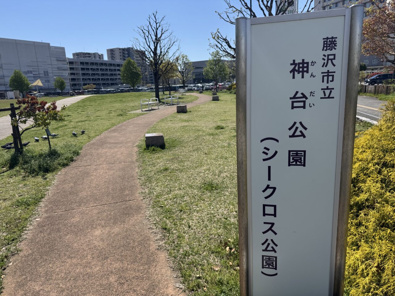【藤沢市】辻堂駅周辺が“2日間まるごとフェス”に！ 話題のナイトシネマも開催！ 「辻堂フェスティバル 2026 春」が4月18日、19日に開催されます♪