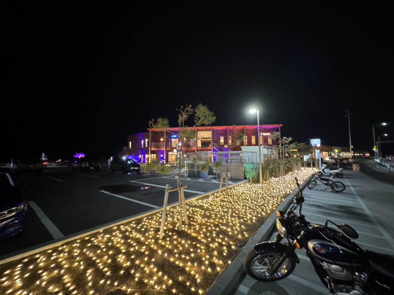 【藤沢市】日本三大イルミネーション「湘南の宝石2025-2026」新スポット『Seed of Beginning』が鵠沼海浜公園HUG-RIDE PARKで開催中です♪