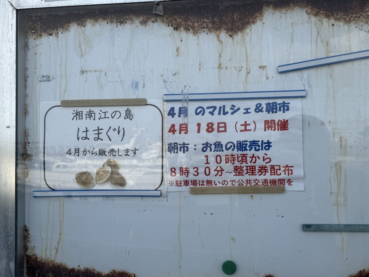 【藤沢市】漁港で味わう湘南グルメ！ 鮮魚販売もあります！ 「江の島フィッシャーマンズマルシェ」が片瀬漁港で4月18日に開催されます♪