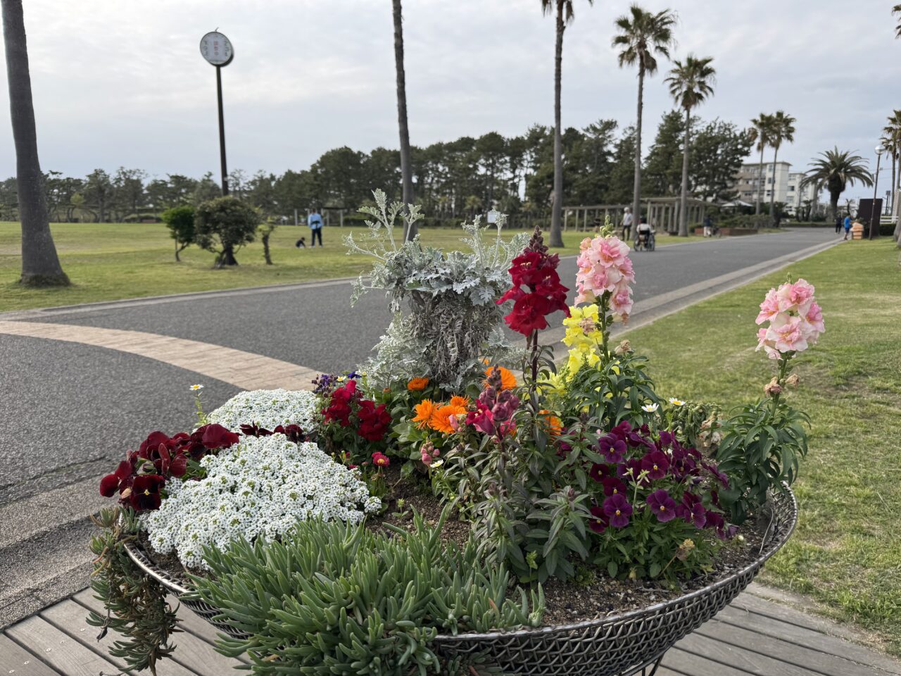 【藤沢市】レディオ湘南30周年記念イベント「ふじさわ まちなみ祭り」が6月6日に辻堂海浜公園で開催されます♪ 音楽・防災・フリマが集結!