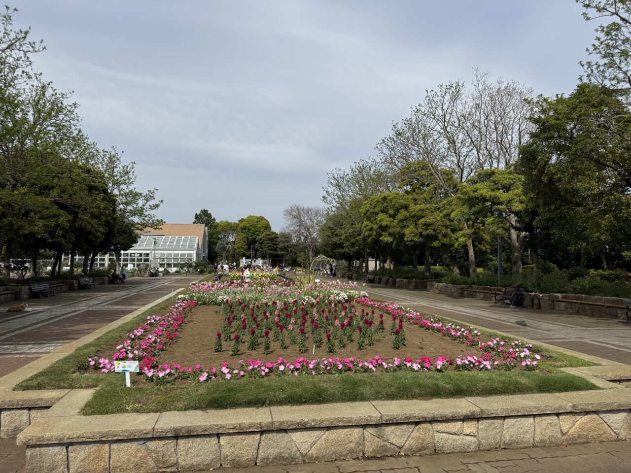 【藤沢市】親子で1日遊べる！ 毎年GWで人気のイベント「春のみどりと花まつり」が長久保公園で5月4日、5日に開催されます♪