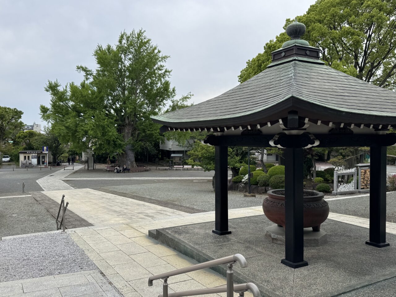 【藤沢市】GW注目イベント！ 遊行寺で女流タイトル戦「第19期マイナビ女子オープン 五番勝負 第3局in遊行寺」が開催されます。キッチンカーやミニSL、自由対局ブースなども開催♪