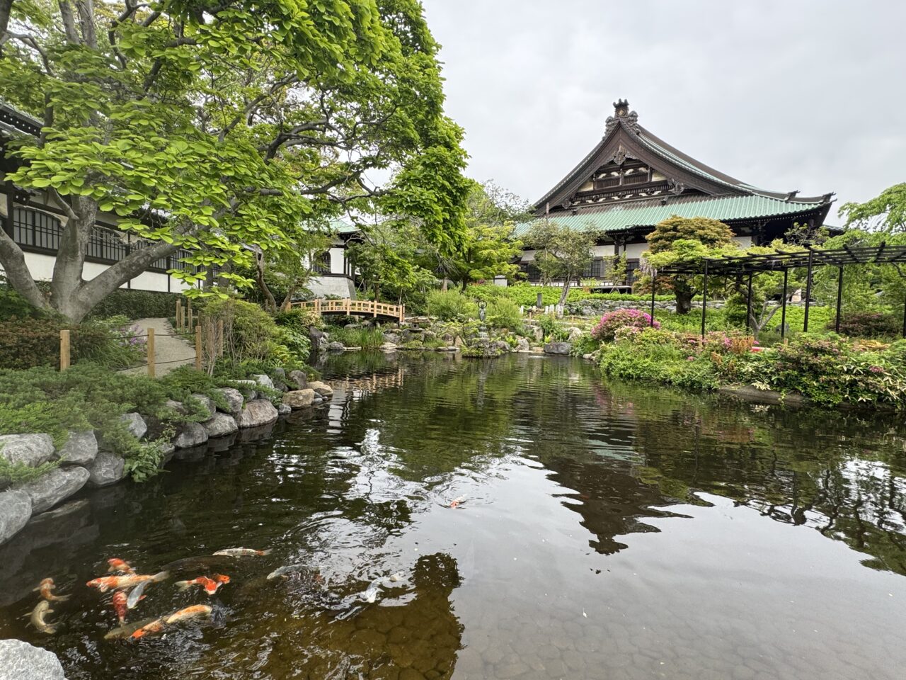 【藤沢市】GW注目イベント！ 遊行寺で女流タイトル戦「第19期マイナビ女子オープン 五番勝負 第3局in遊行寺」が開催されます。キッチンカーやミニSL、自由対局ブースなども開催♪