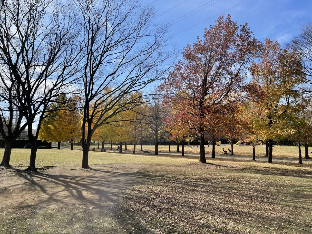 【藤沢市】遊行寺や白旗神社など旧東海道藤沢宿エリアで「第14回 旧東海道藤沢宿まつり」が3月1日に開催されます。