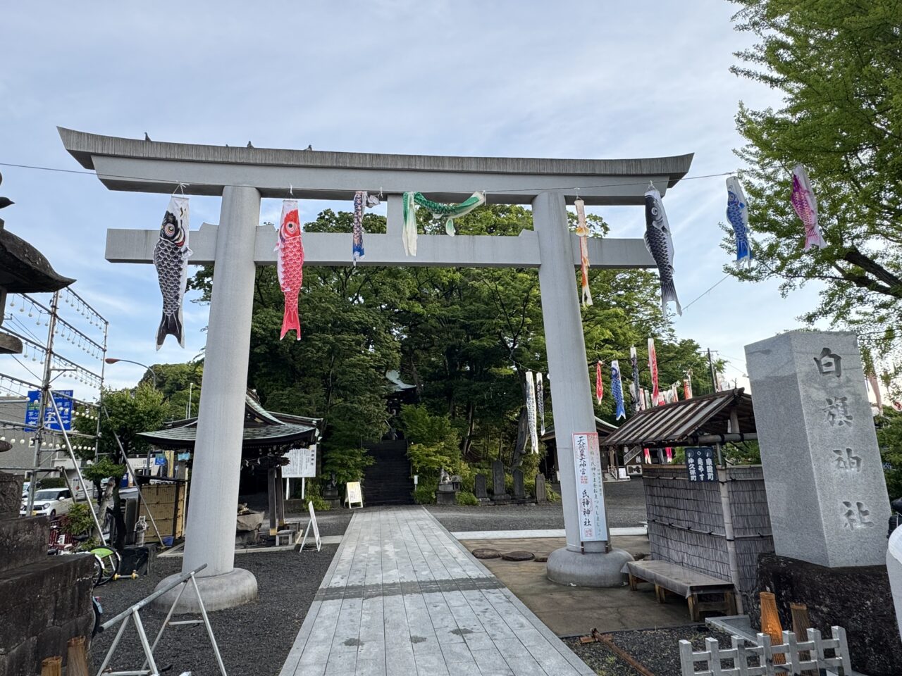 【藤沢市】GWの風物詩！ 白旗神社に約100匹のこいのぼりが登場！5月5日は子どもの日を祝う「牛若まつり」が開催されます♪