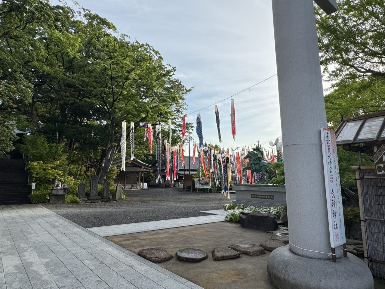 【藤沢市】GWの風物詩！ 白旗神社に約100匹のこいのぼりが登場！5月5日は子どもの日を祝う「牛若まつり」が開催されます♪