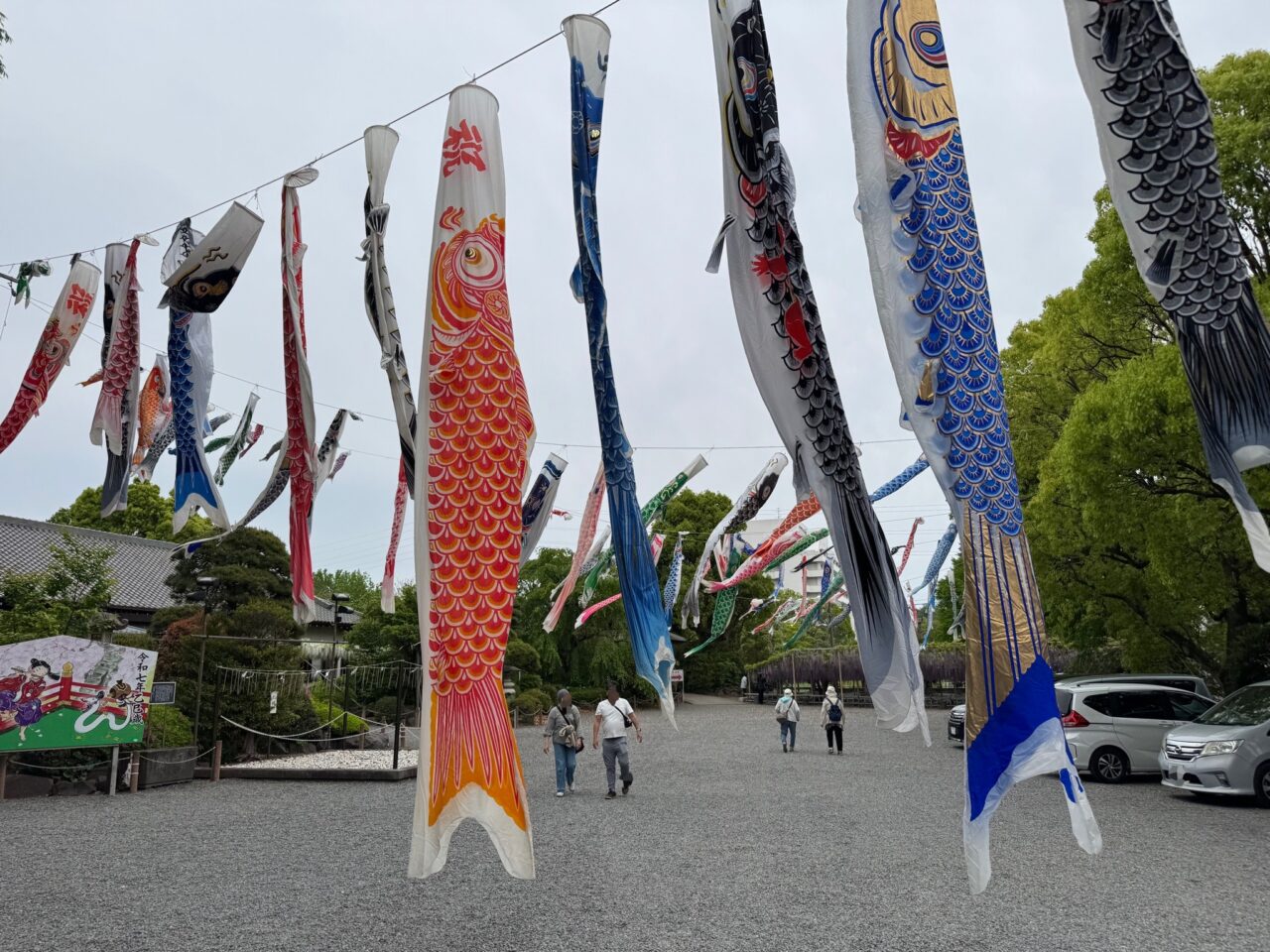 白旗神社の鯉のぼり