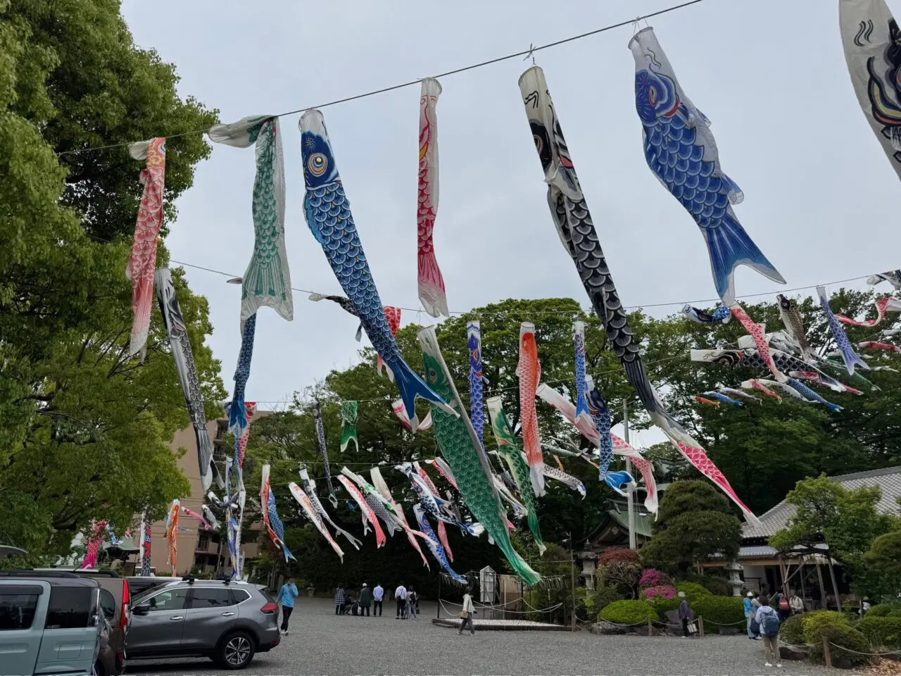 白旗神社の鯉のぼり