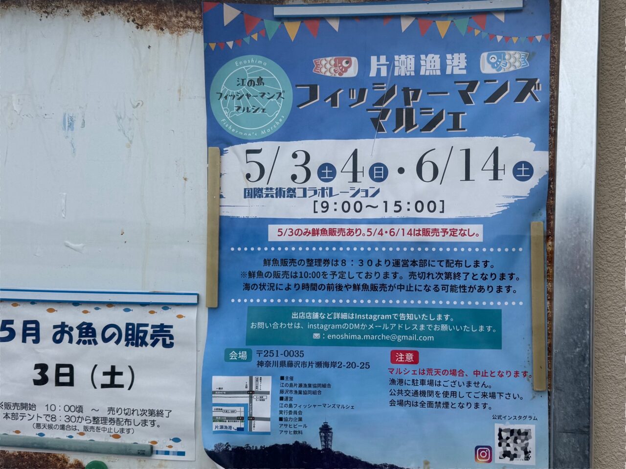 江の島フィッシャーマンズマルシェ20250503