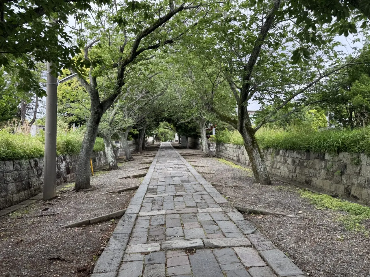 第18期マイナビ女子オープン第3局in遊行寺