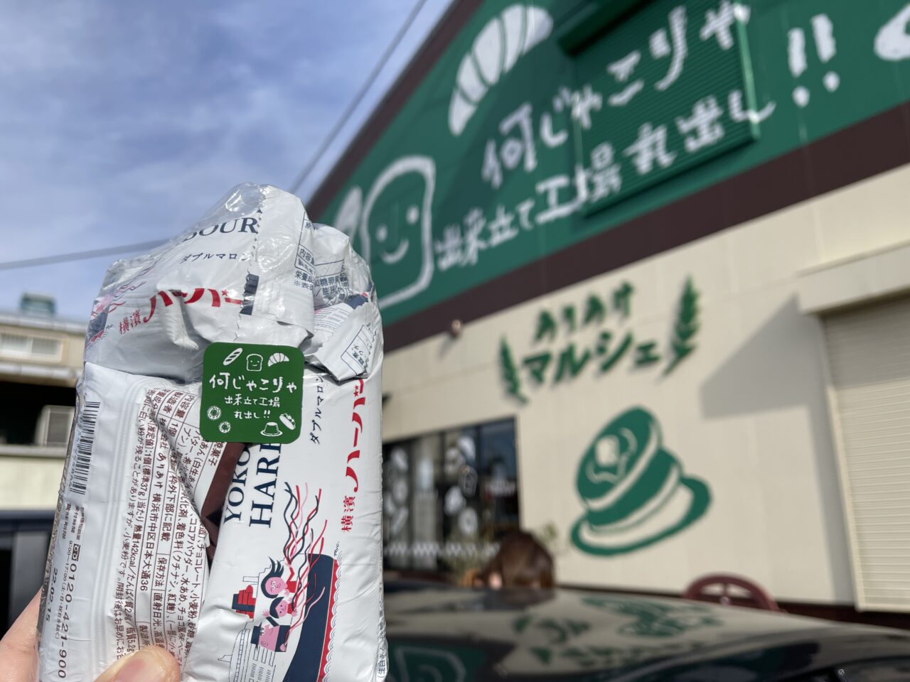 江の島ヨットハーバー発売