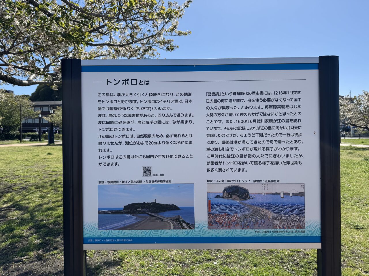 江の島トンボロ
