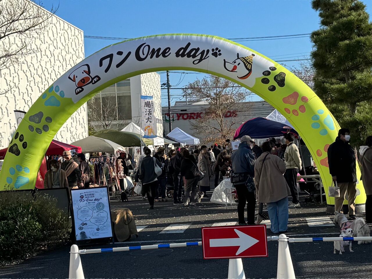 湘南T-SITE 第46回 ワン One day！