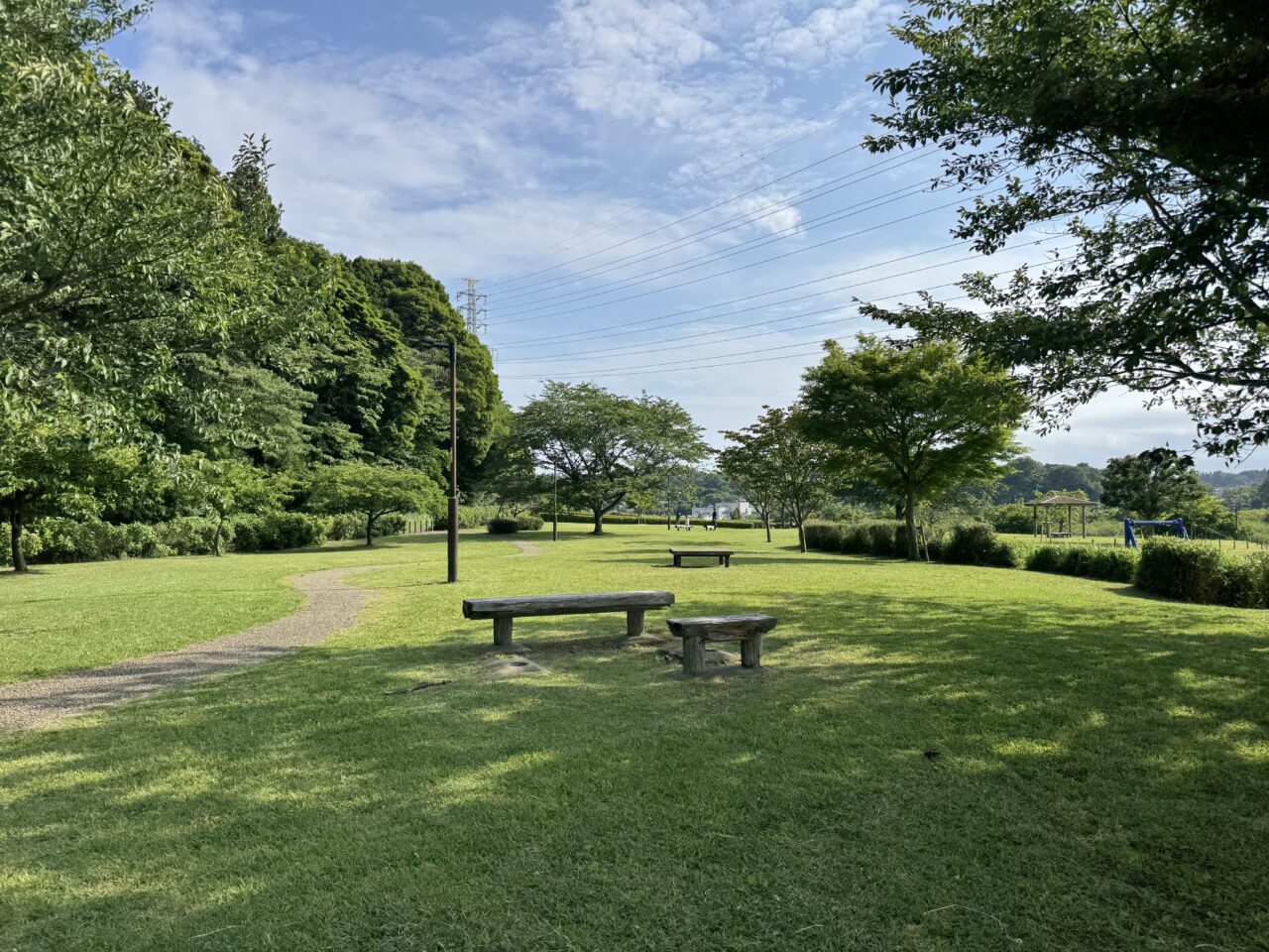 藤沢市のアジサイ2025