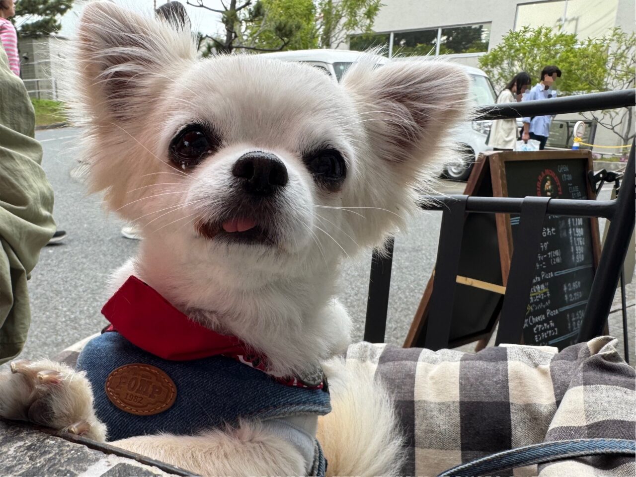 ピッツェリア イルポルト