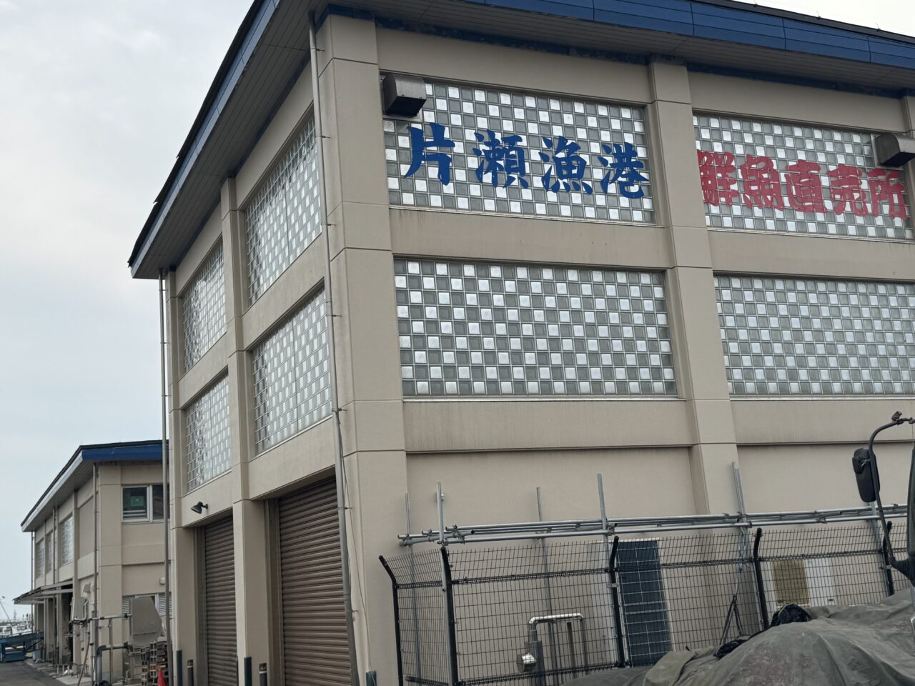 江の島フィッシャーマンズマルシェ20250614